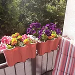 Apartment Plavo Oko *
