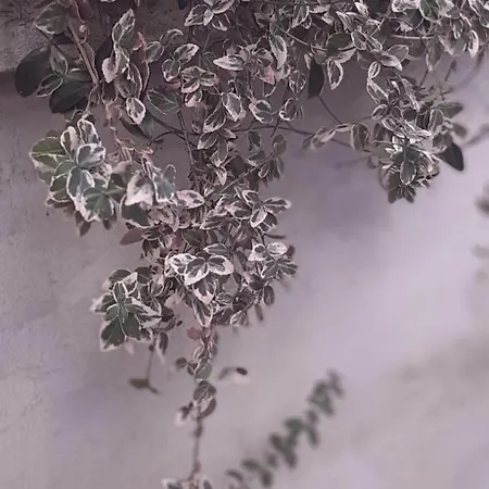 Apartamento Plavo Oko Sarajevo