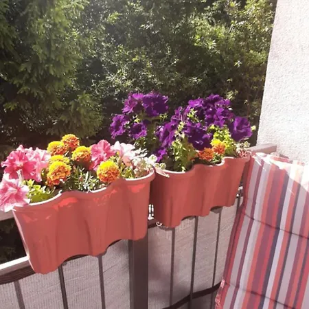 Apartmán Plavo Oko *